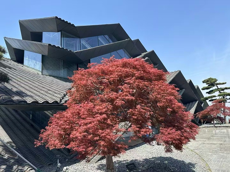 微信图片_20251106090338_77_3